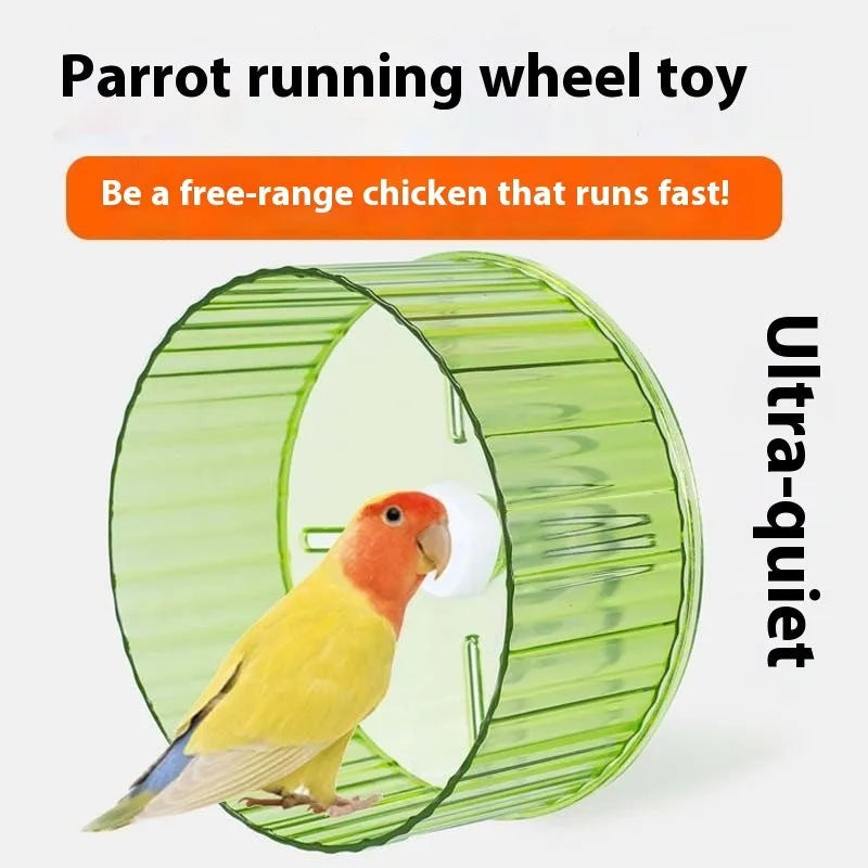 A plastic parrot running wheel toy, shown in transparent colour, for bird cage exercise.