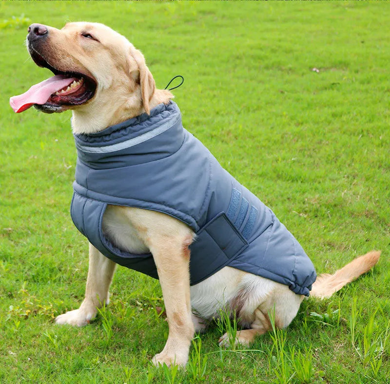 Dog trench coat cold-proof rain-proof in Gray Pink Red, sizes S XL, with bust and back length measurements
