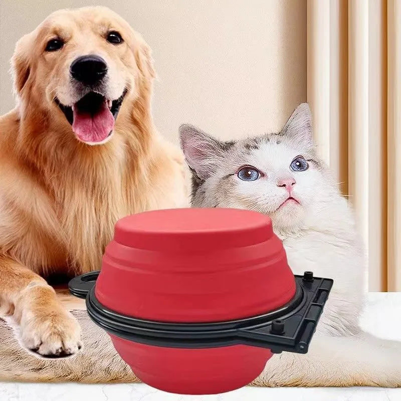 Blue silicone folding double pet bowl showing food and water compartments, collapsed and unfolded views
