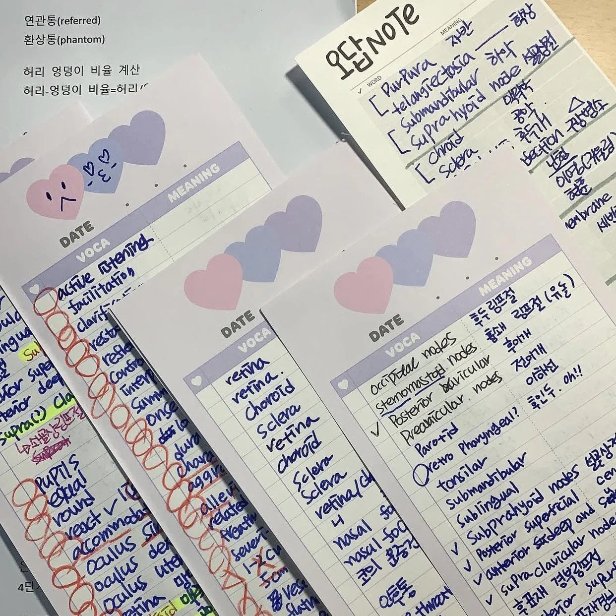 Vertical half-B5 notepad with blue cover, showing 30 pages for English word lists.