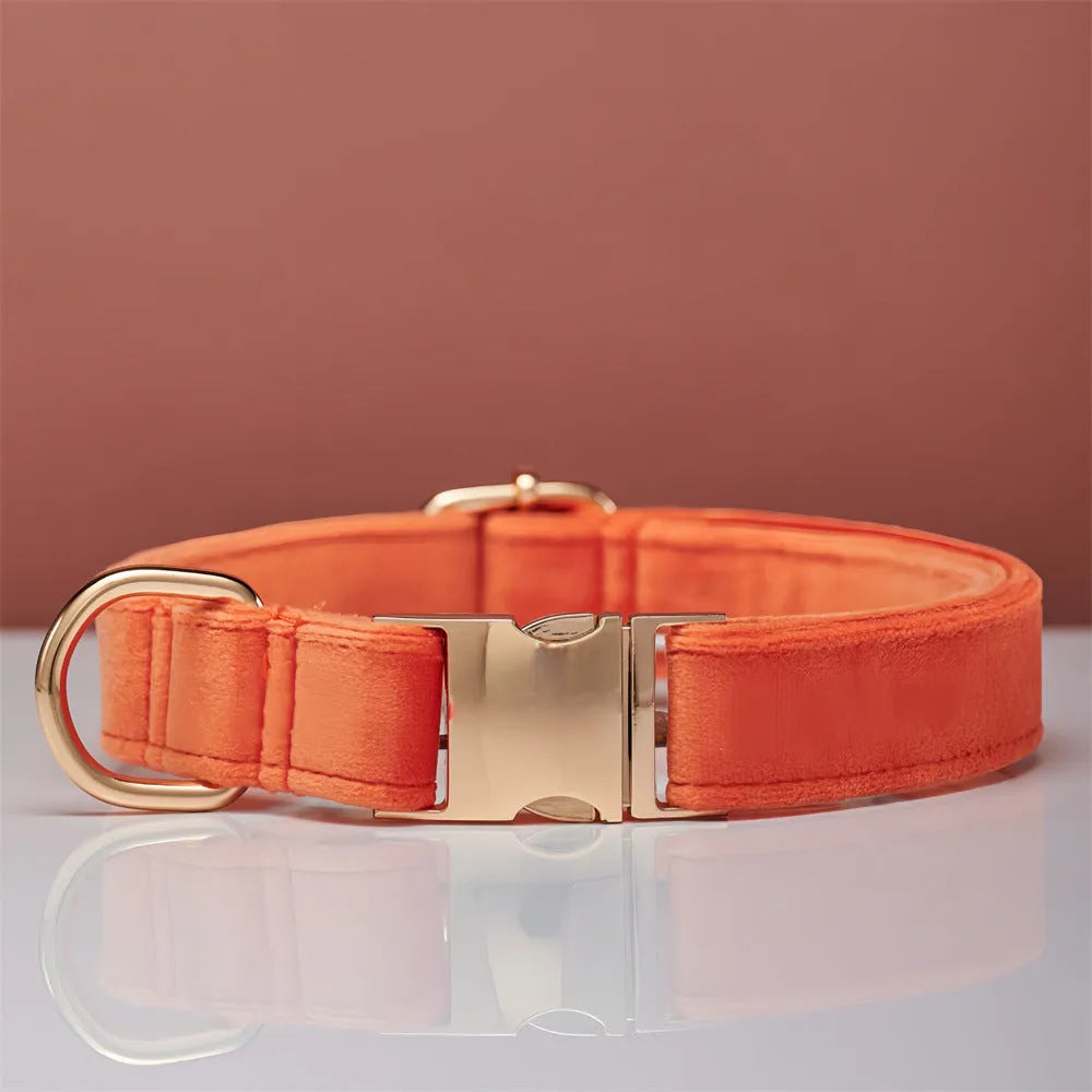 Striped wool dog collar in coral orange with attached leash on a neutral background