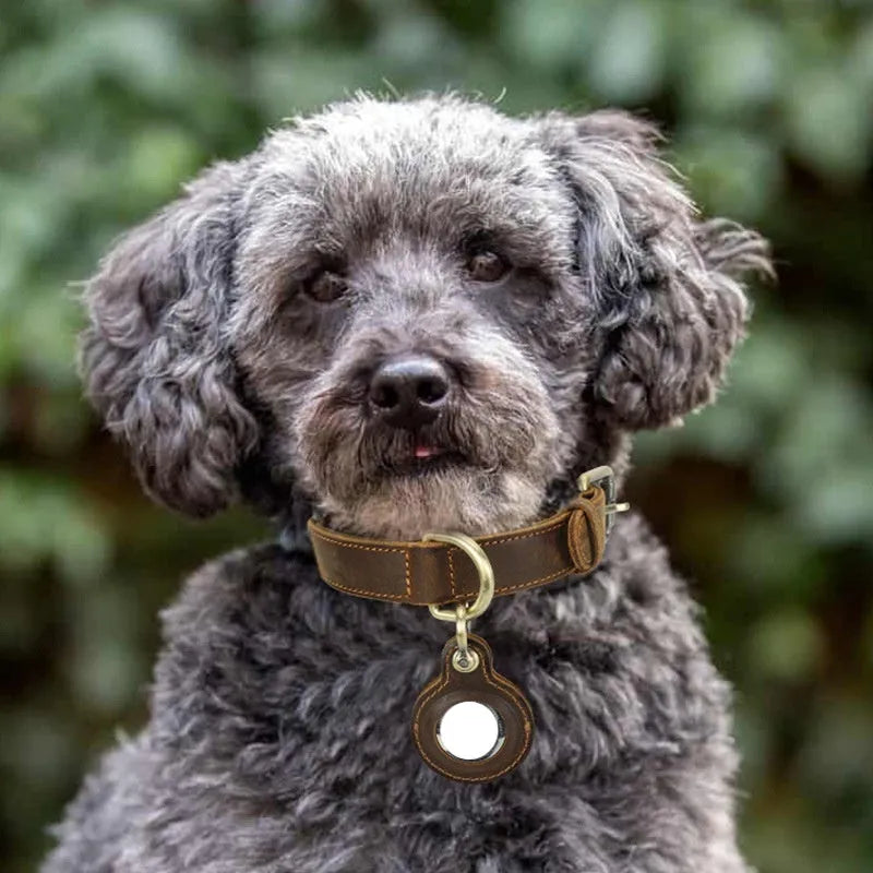 Brown handmade cowhide dog collar with retro style and halter positioning design