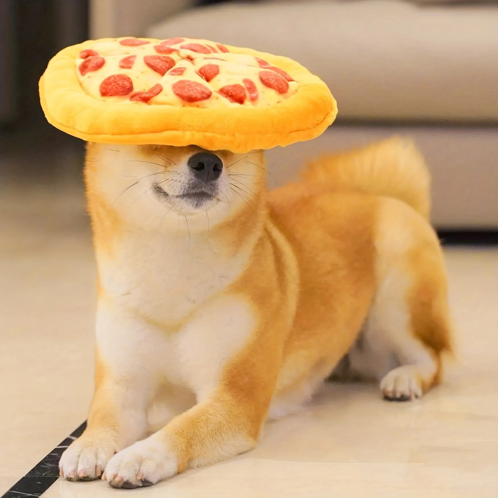 Yellow pizza slice shaped dog chewing toy with squeaky feature for small to medium dogs