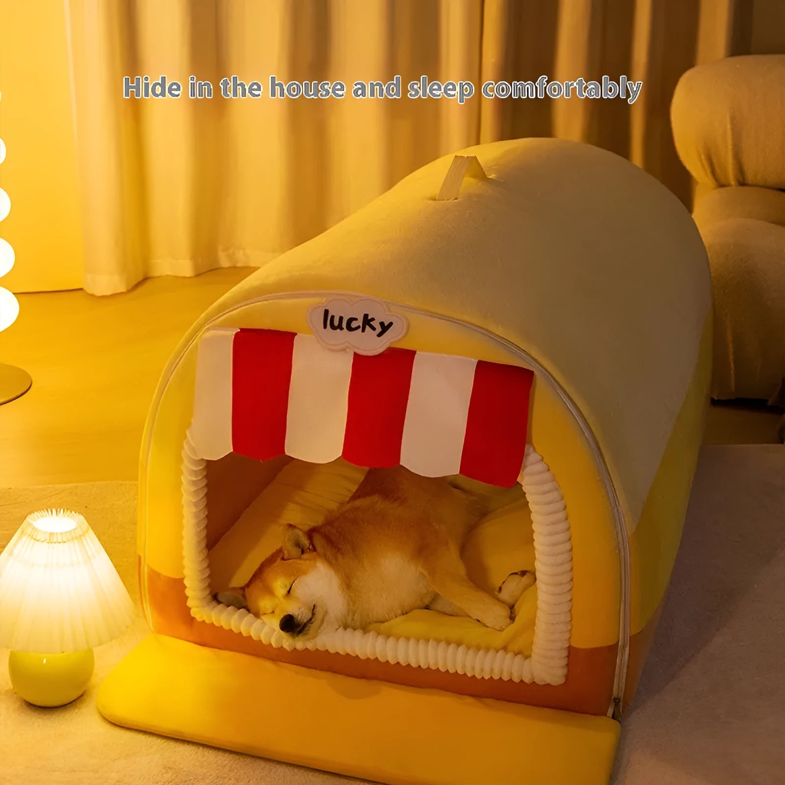 Large painted dog bed with sponge filling in Loomi Brown Coffee colour