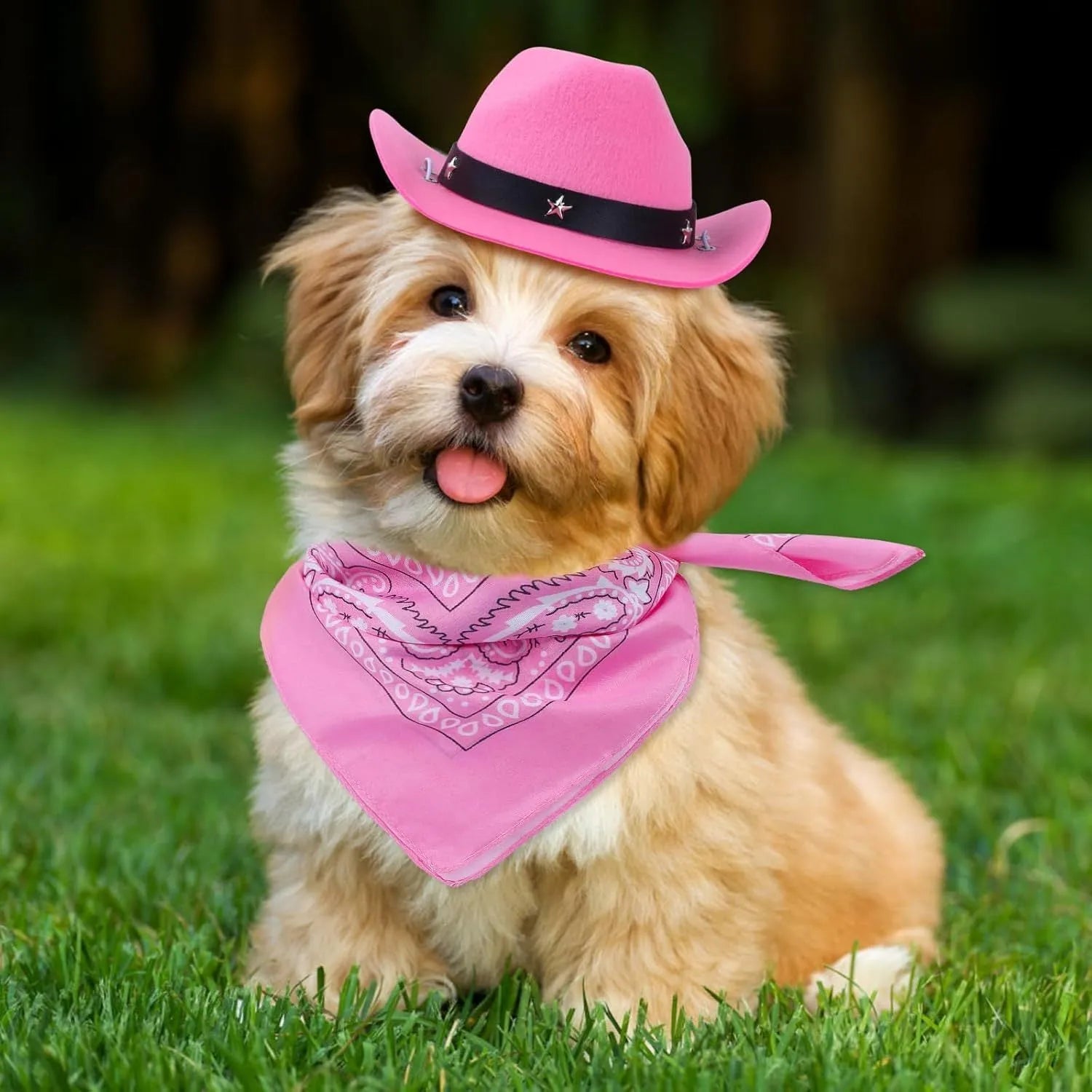 Cat wearing cowboy hat and bandana costume set for Halloween