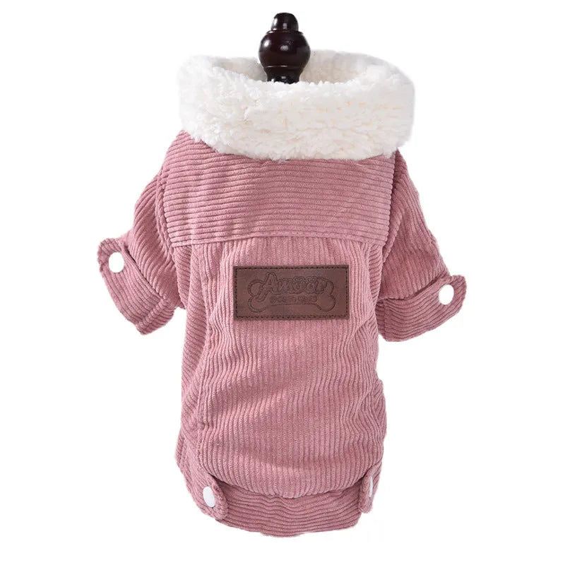Grey lambswool dog vest with fleece lining, shown on a small dog.