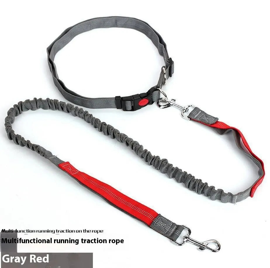 Reflective elastic dog leash with 2.5cm nylon sling in blue and red two-tone colour combination