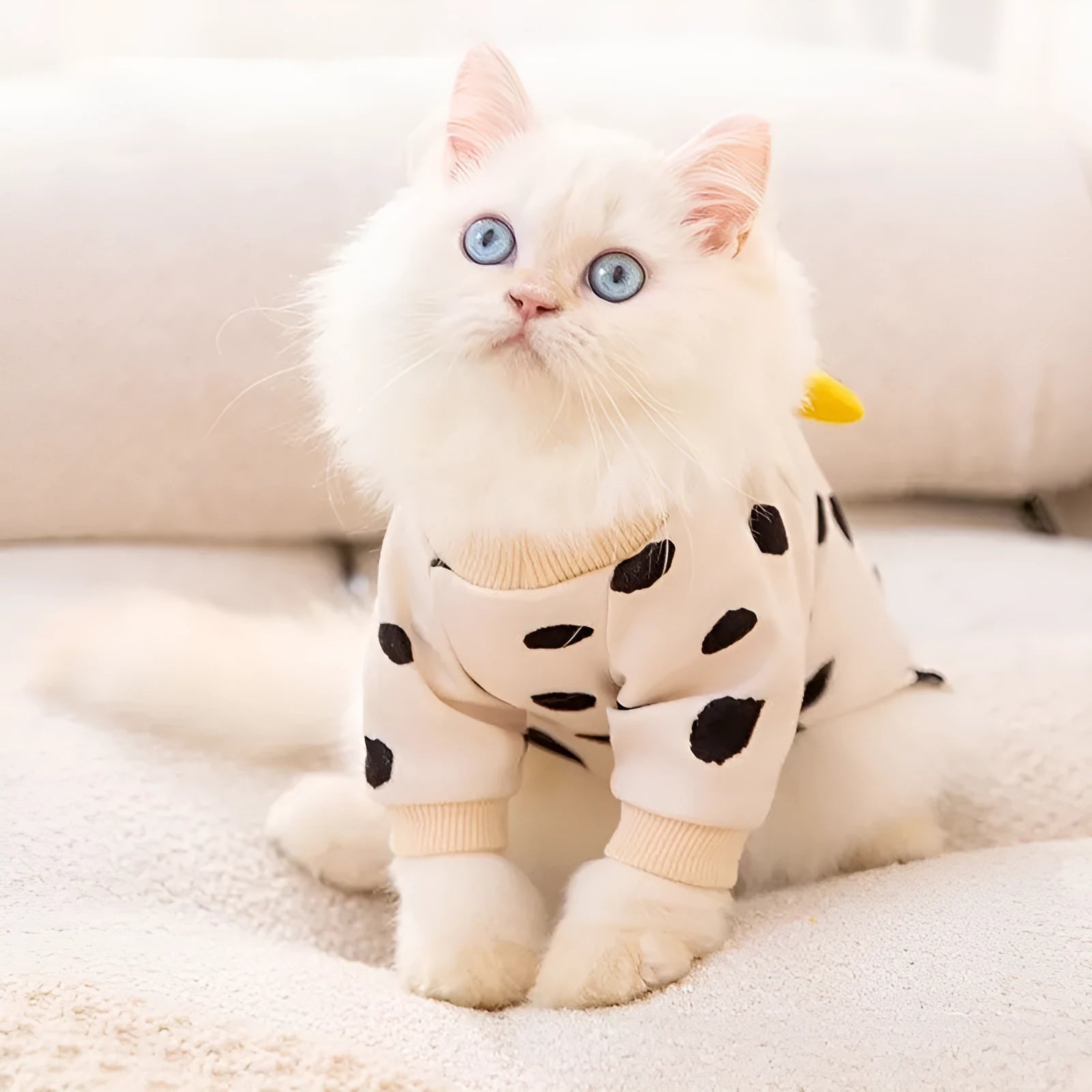 Cute Kitty anti-lint Dralon pet coat in white polka dot banana pattern on a cat, side view
