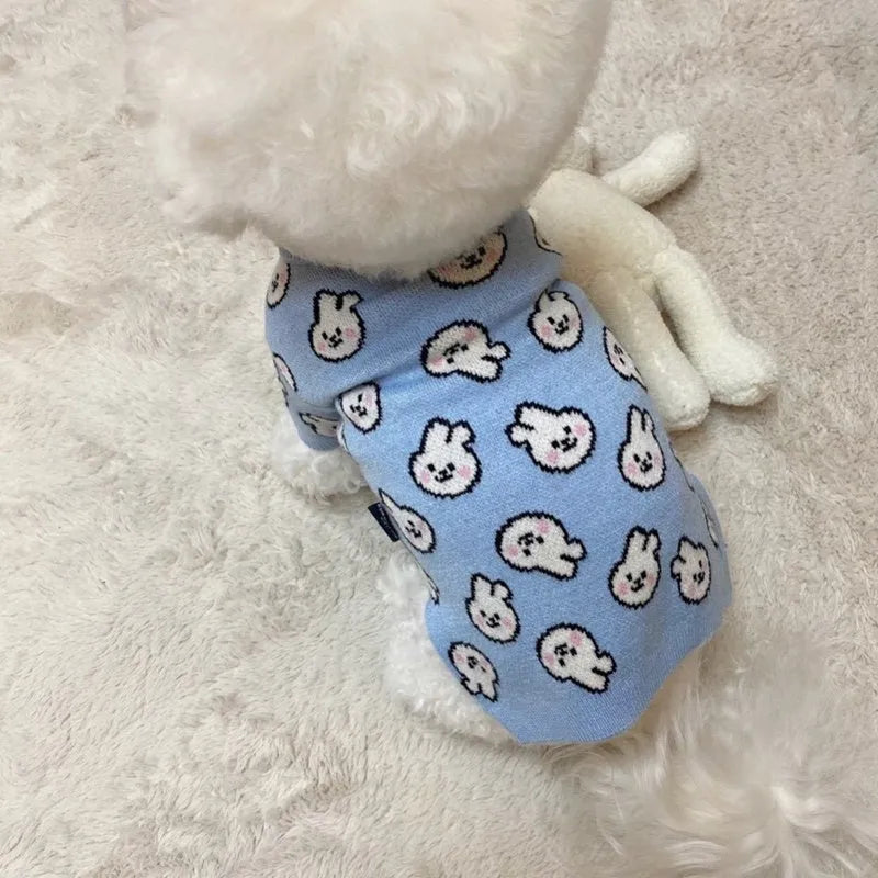 Small dog wearing a blue knitted winter sweater with a charming pattern, soft polyacrylic material