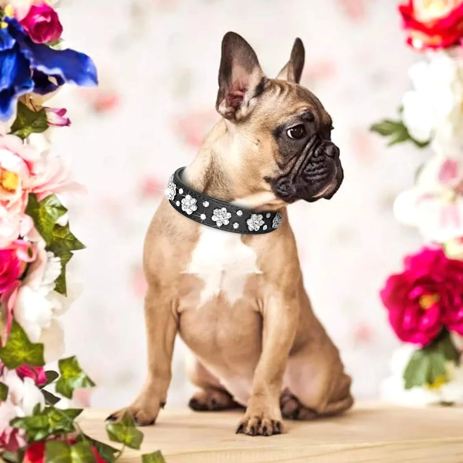 A black PU leather dog collar with a sparkling rhinestone flower pattern and metal studs, showing an adjustable metal buckle.