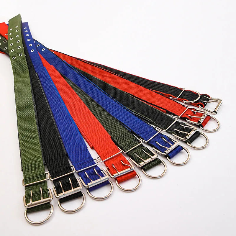Nylon braid lined dog collar in blue with polypropylene PET foam padding, size 2.0x50cm