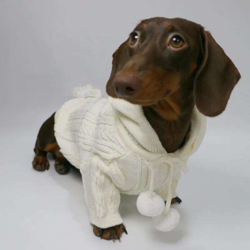 Two-leg hooded pet sweater in sky blue or beige, blended fabric, sizes XS to XL for autumn and winter warmth