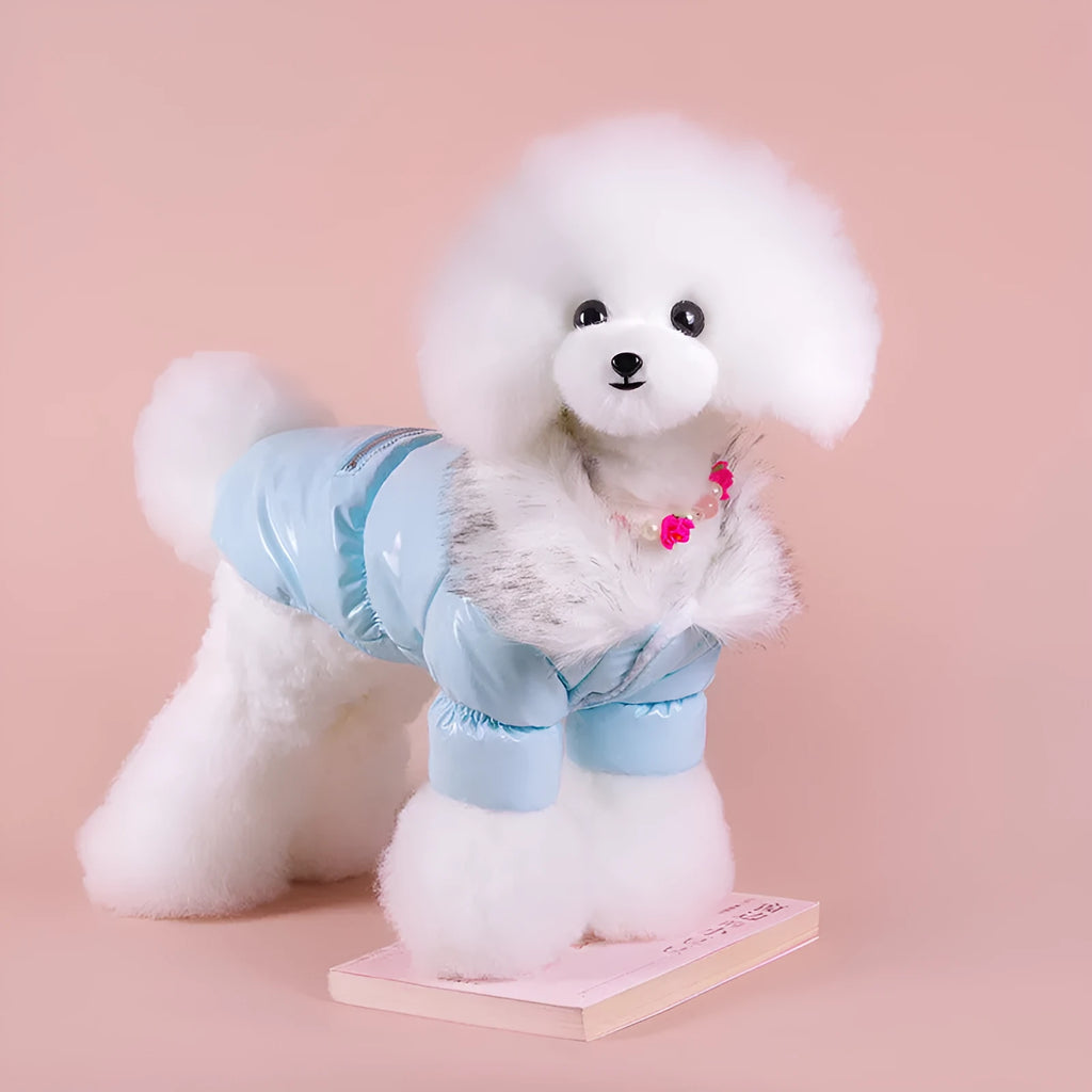Blue cotton dog coat for winter on a small dog, showing sizing and British style.