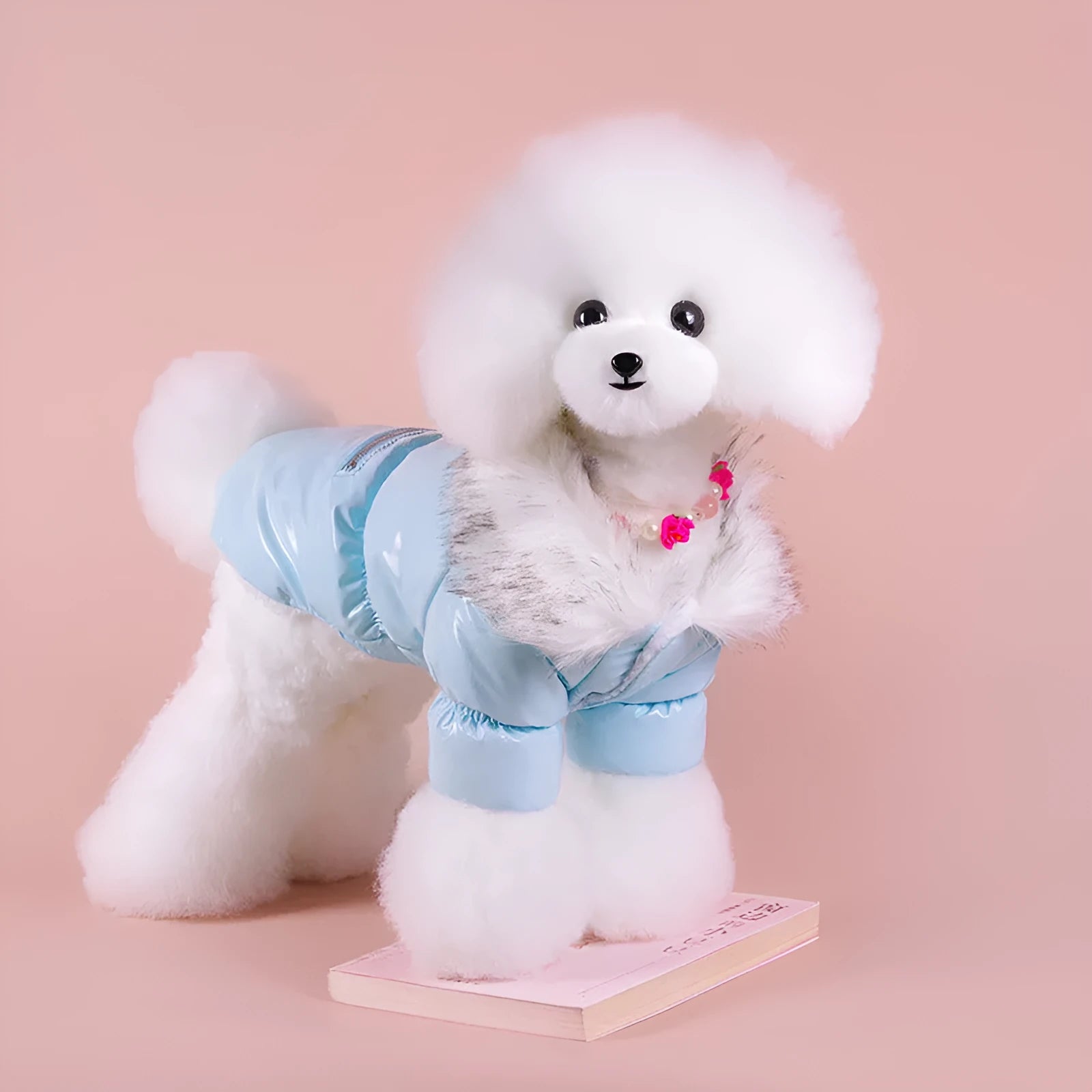 Blue cotton dog coat for winter on a small dog, showing sizing and British style.