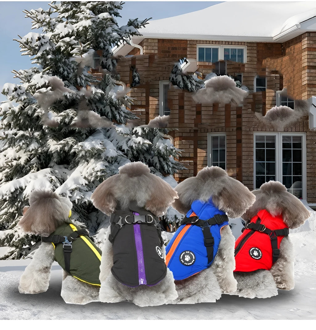 Adjustable chest strap dog winter jacket in blue, showing the strap closure and cotton-padded design.