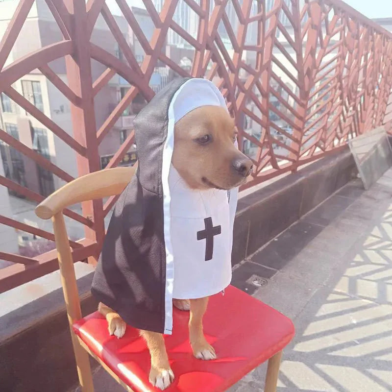 Black and white nun cloak costume on a small dog