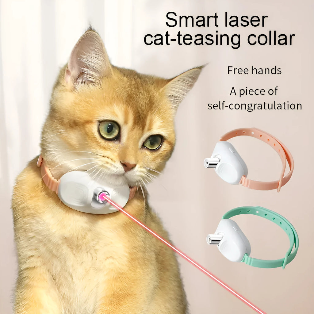 Green interactive laser cat collar with USB charging port and adjustable buckle