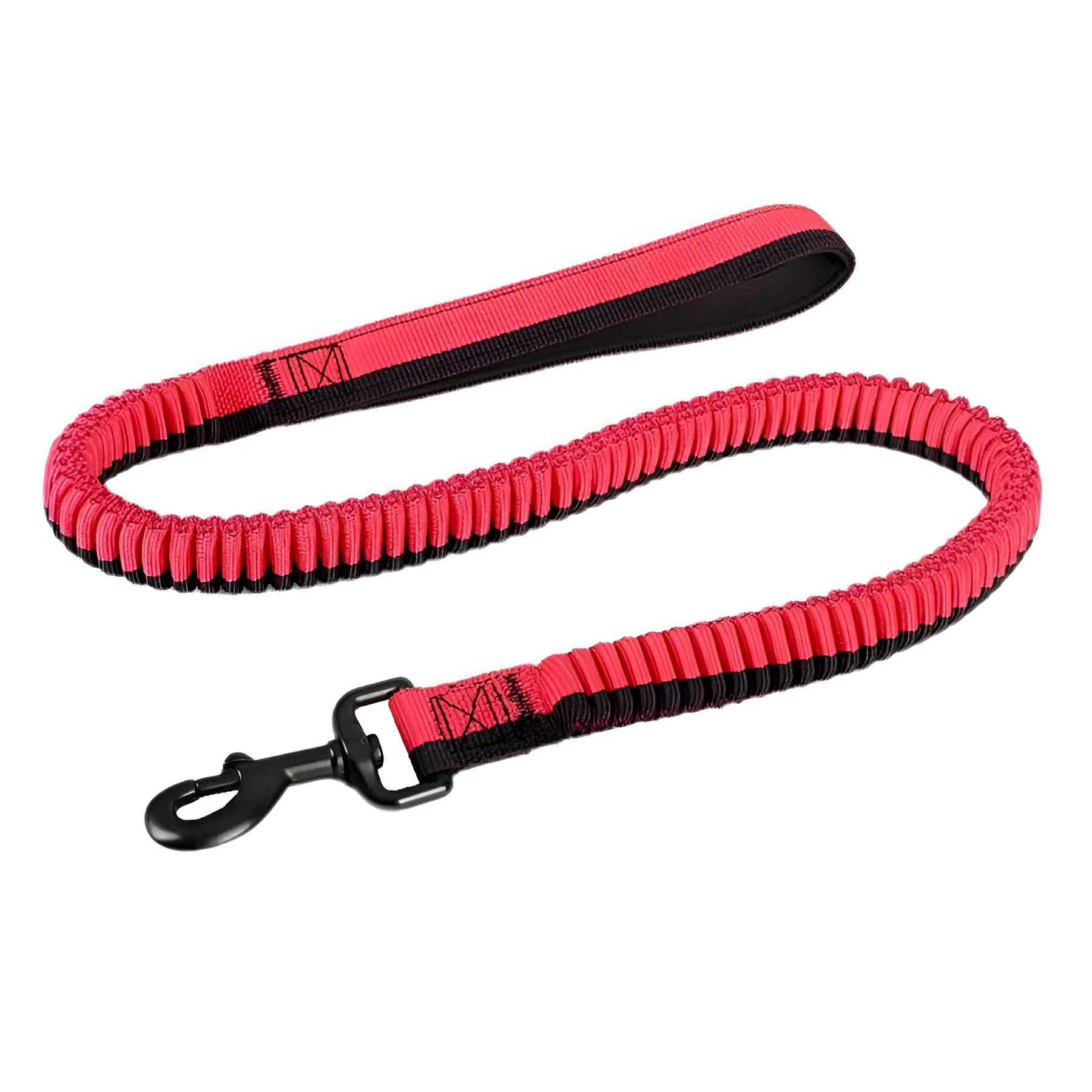 Green elastic dog training leash with metal clip for medium and large breed control