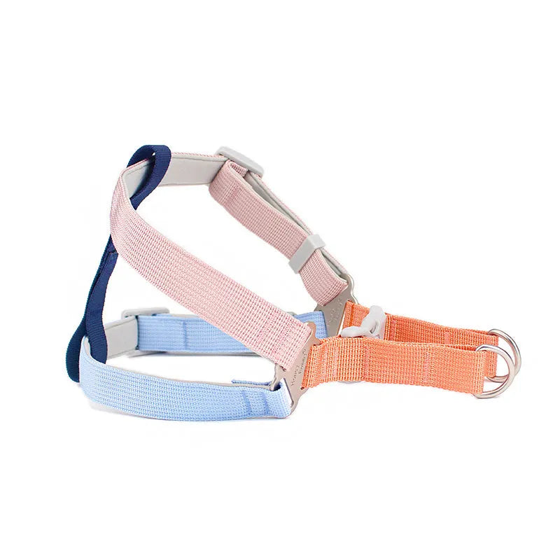 Polyester dog harness and lead set with chest and back strap and hand holding rope, sizes S M L, four colours