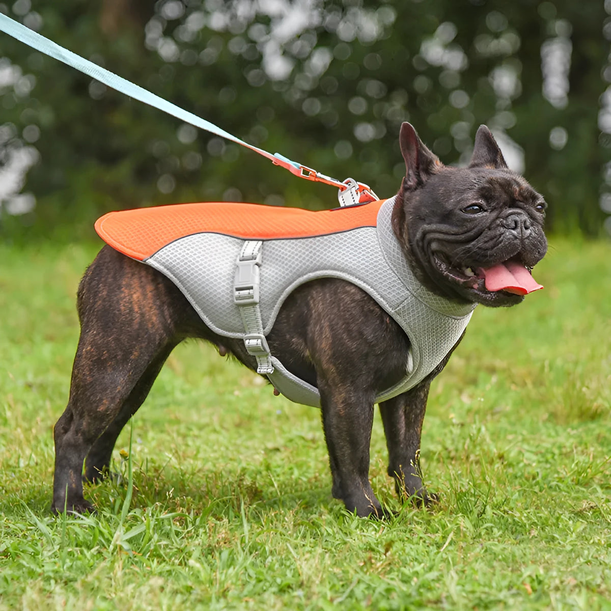Pet cooling vest in blue, orange, green, or pink, breathable mesh and absorbent cotton, sizes S to 3XL.