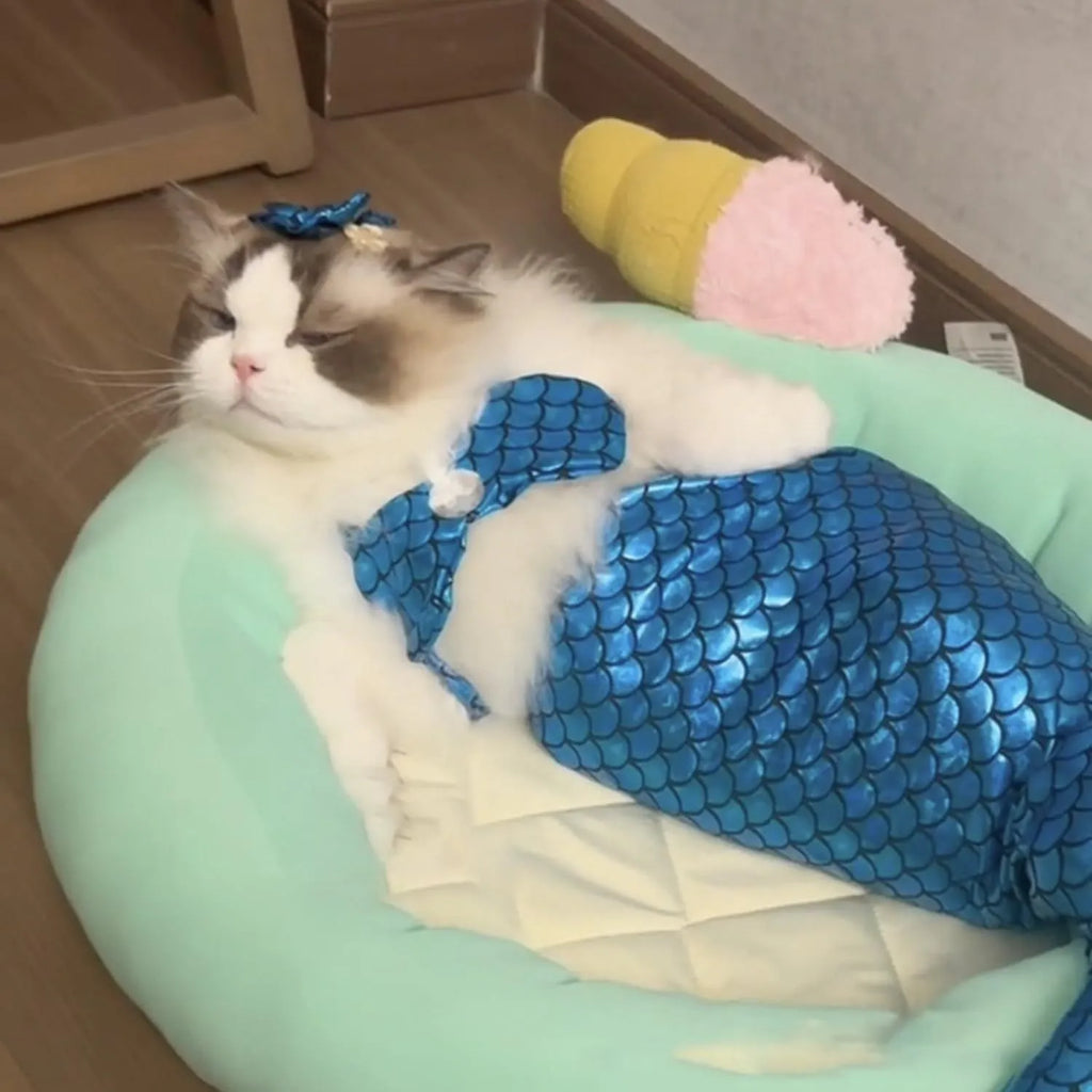 Blue mermaid tail costume with elastic chest strap on a cat, showing colourful scales and fish tail design.