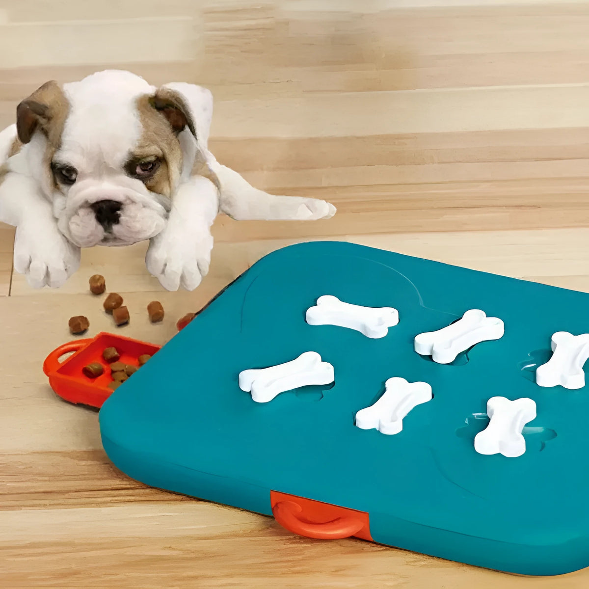 Blue plastic pet treasure hunt puzzle food spill toy for dogs and cats, 100g interactive feeder